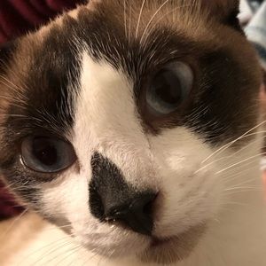 Meet your Posher, Gianelly